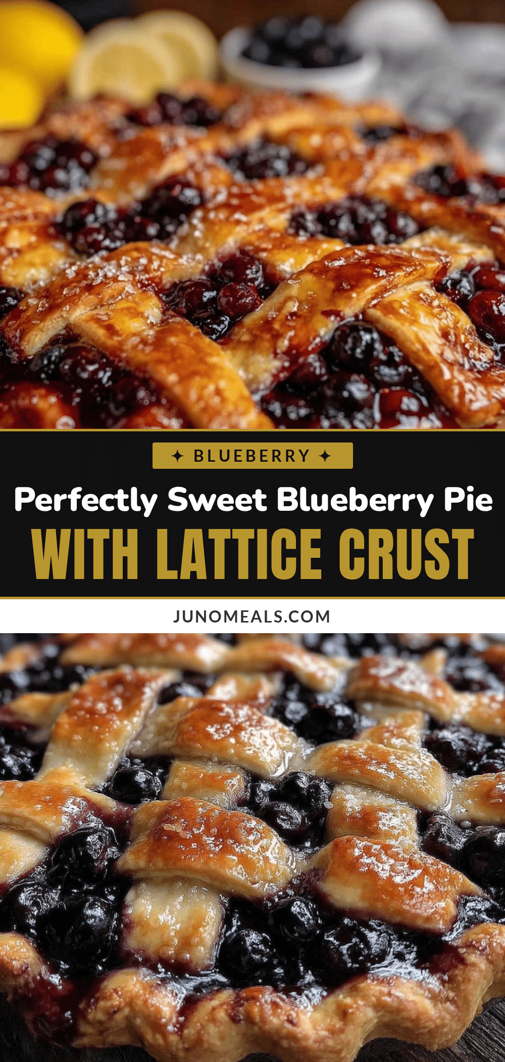 blueberry pie recipe recipe