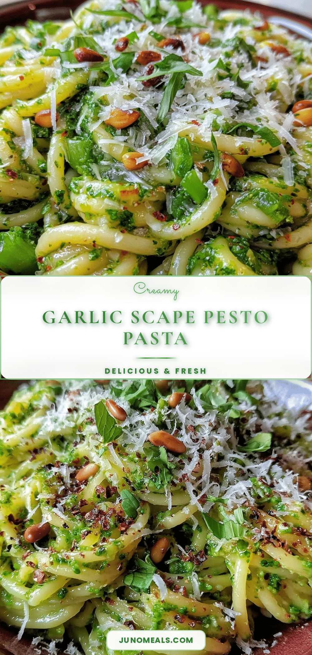 creamy garlic scape pesto pasta recipe
