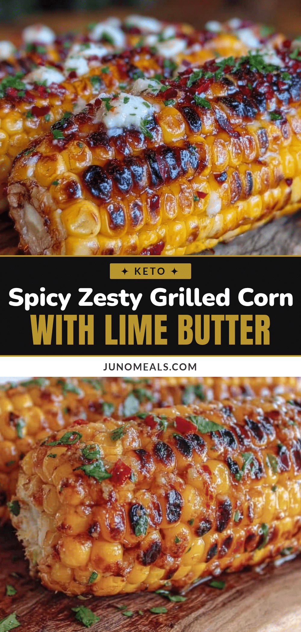 flavorful grilled corn recipe