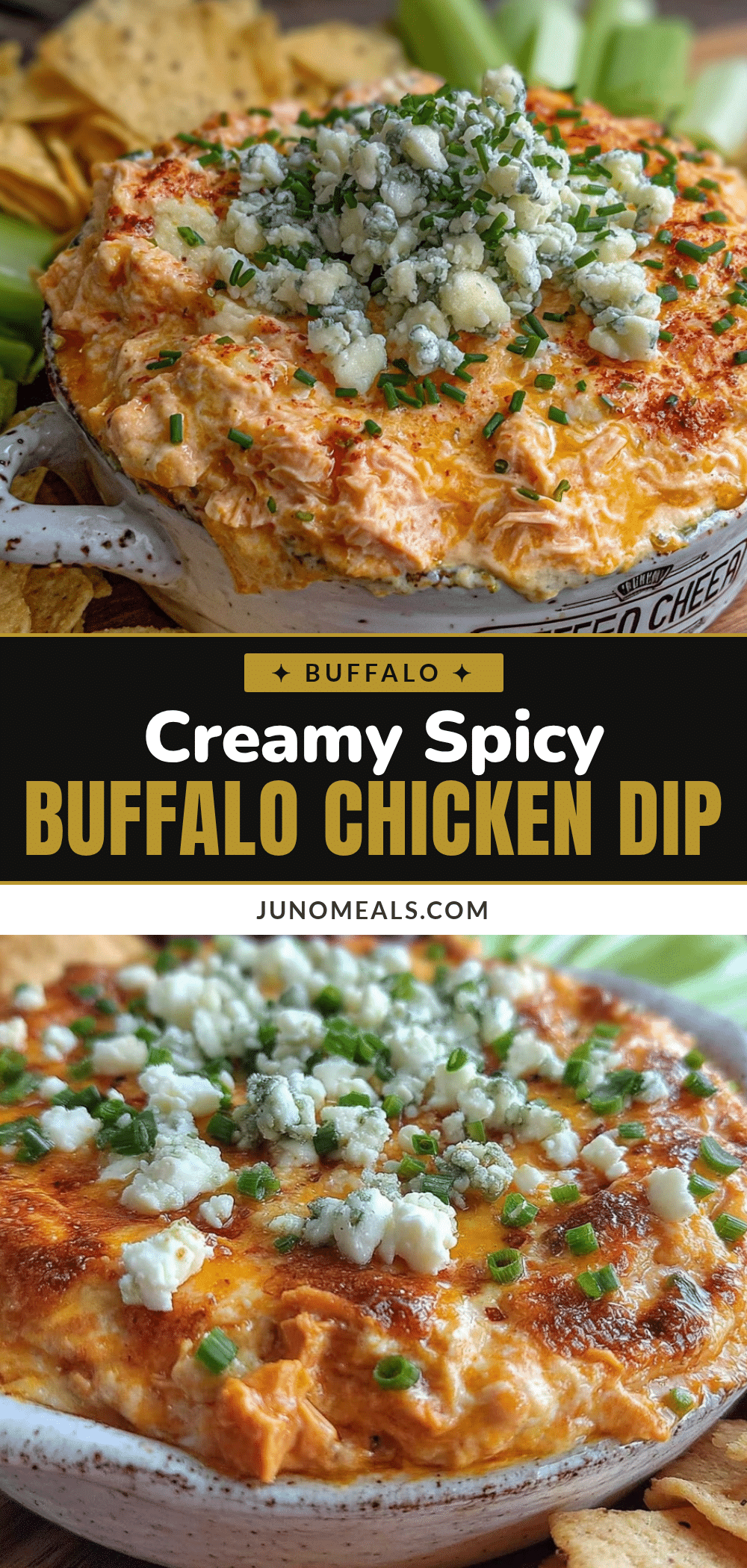 buffalo chicken dip recipe