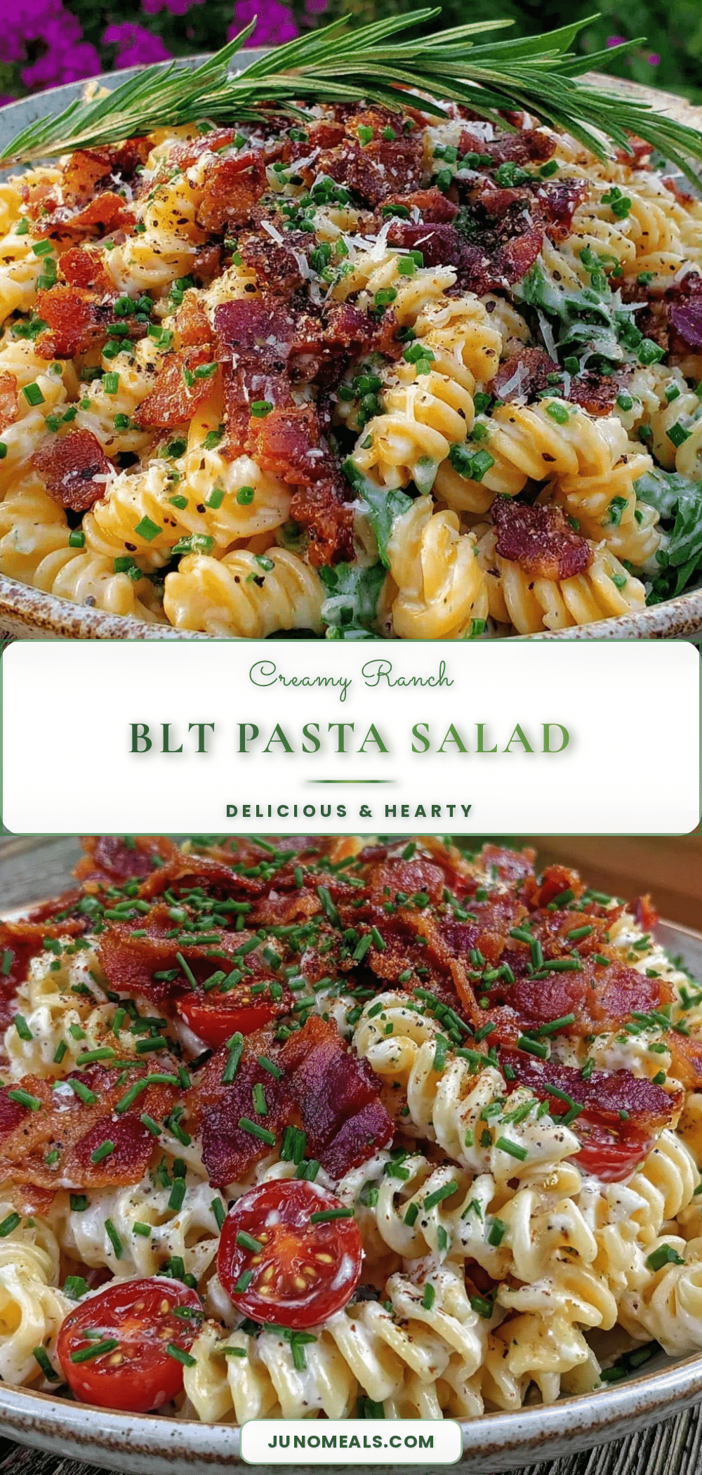 creamy BLT pasta salad recipe