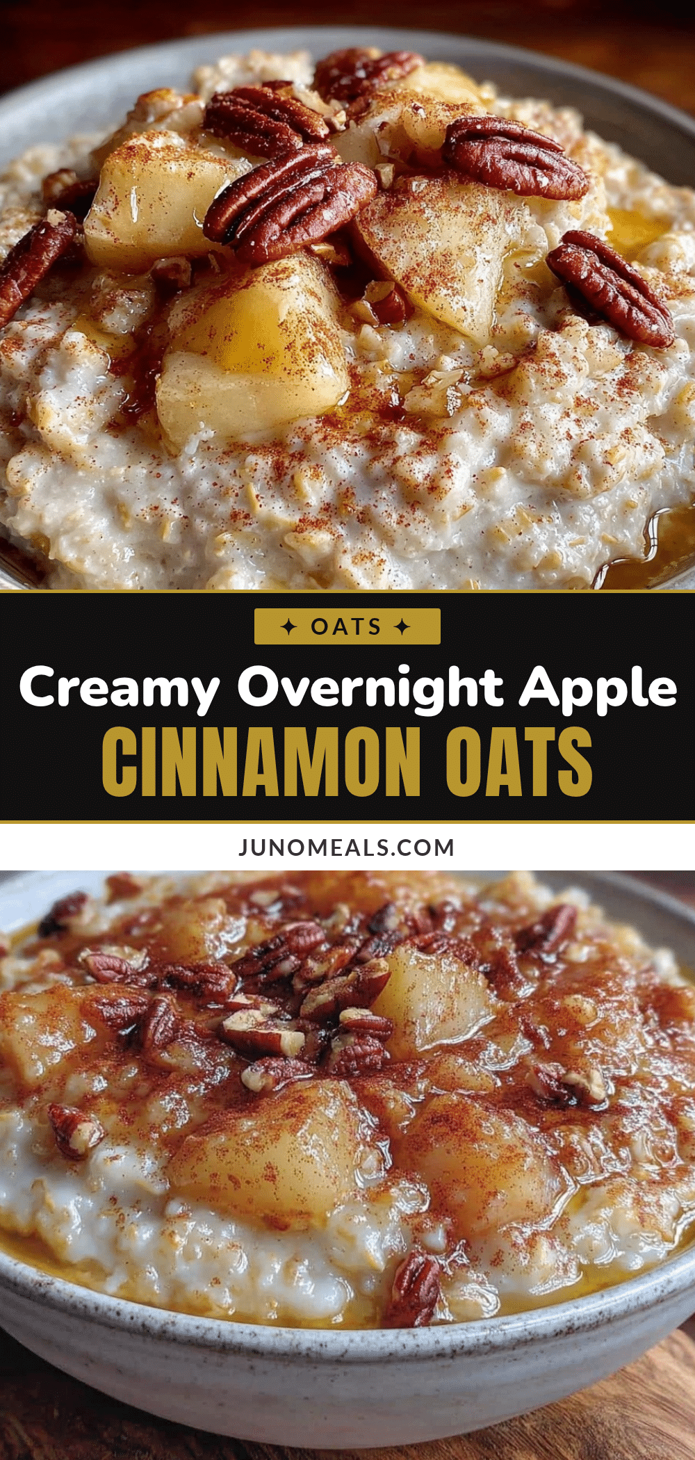 creamy overnight apple cinnamon steel cut oats recipe