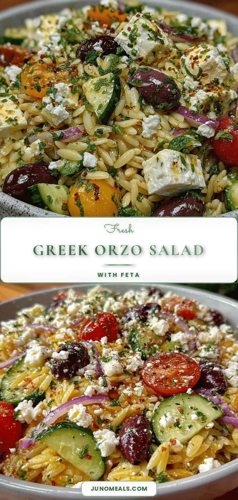 fresh greek orzo salad recipe