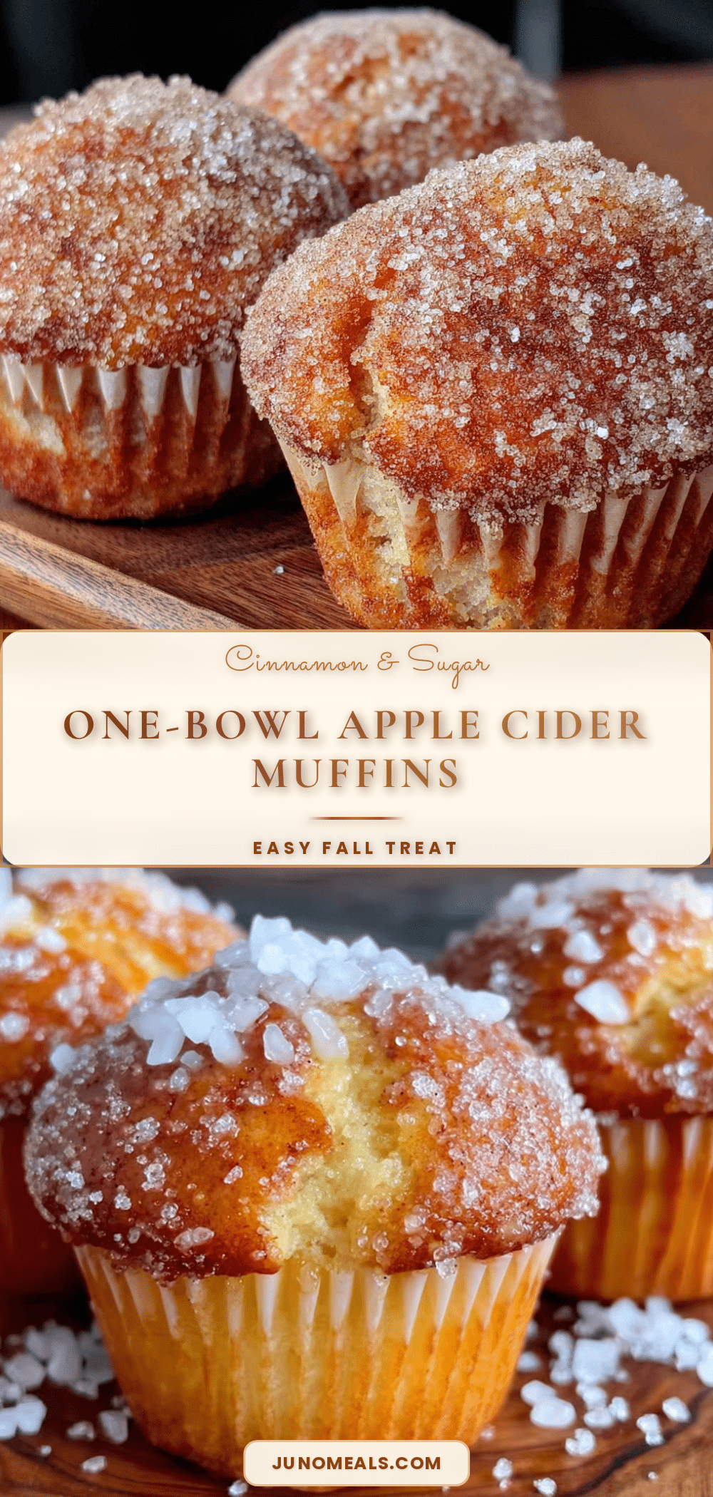 apple cider donut muffins recipe