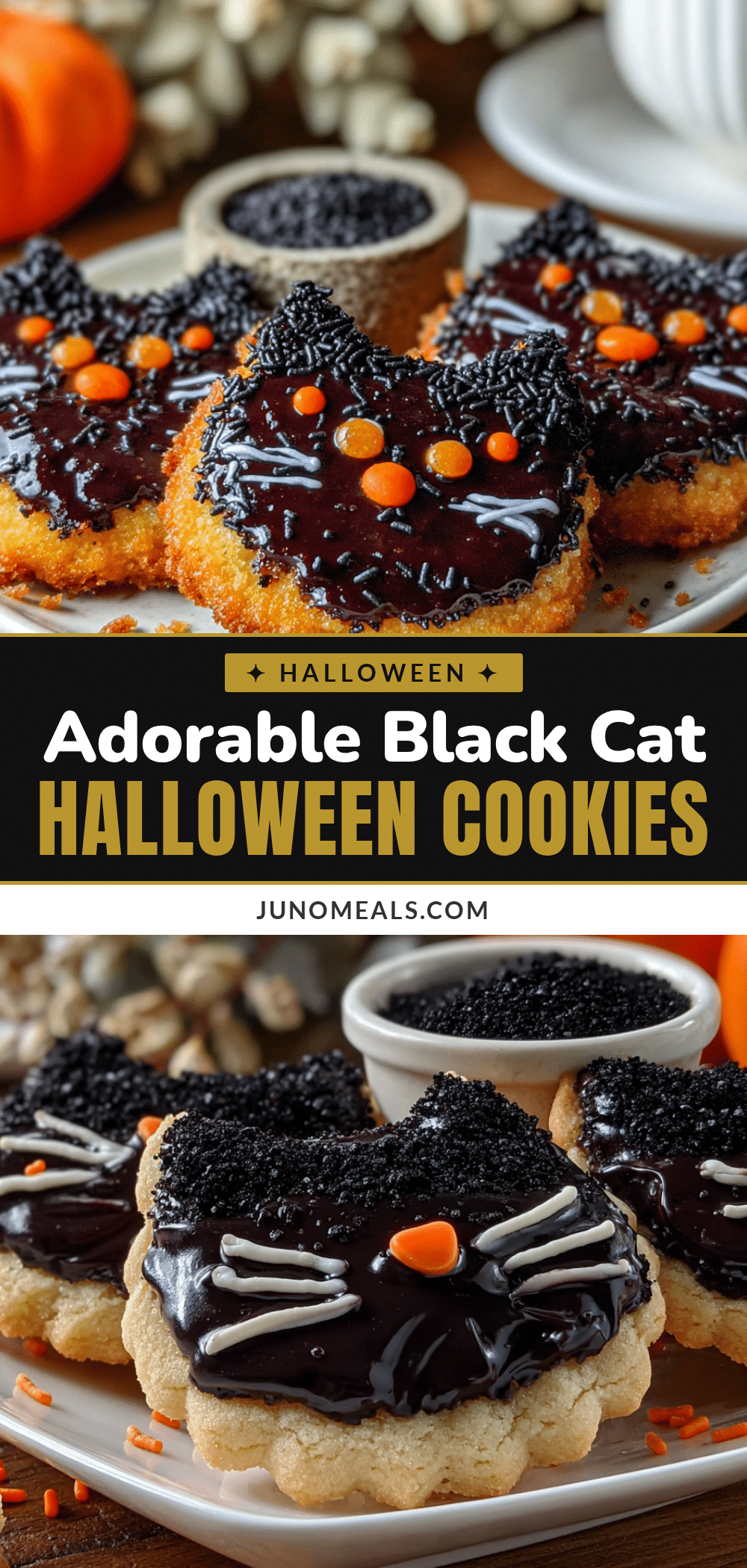 black cat halloween sugar cookies recipe