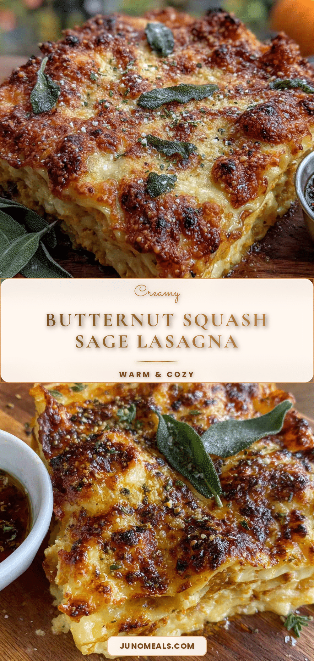 creamy butternut squash lasagna recipe