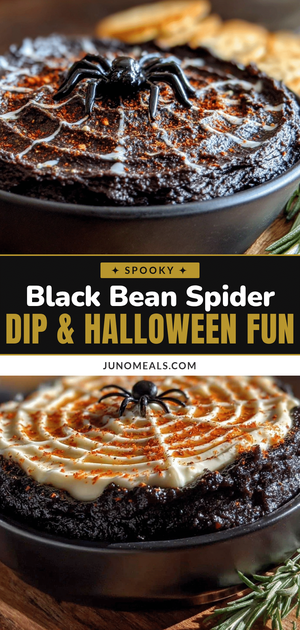 healthy black bean spider web dip recipe