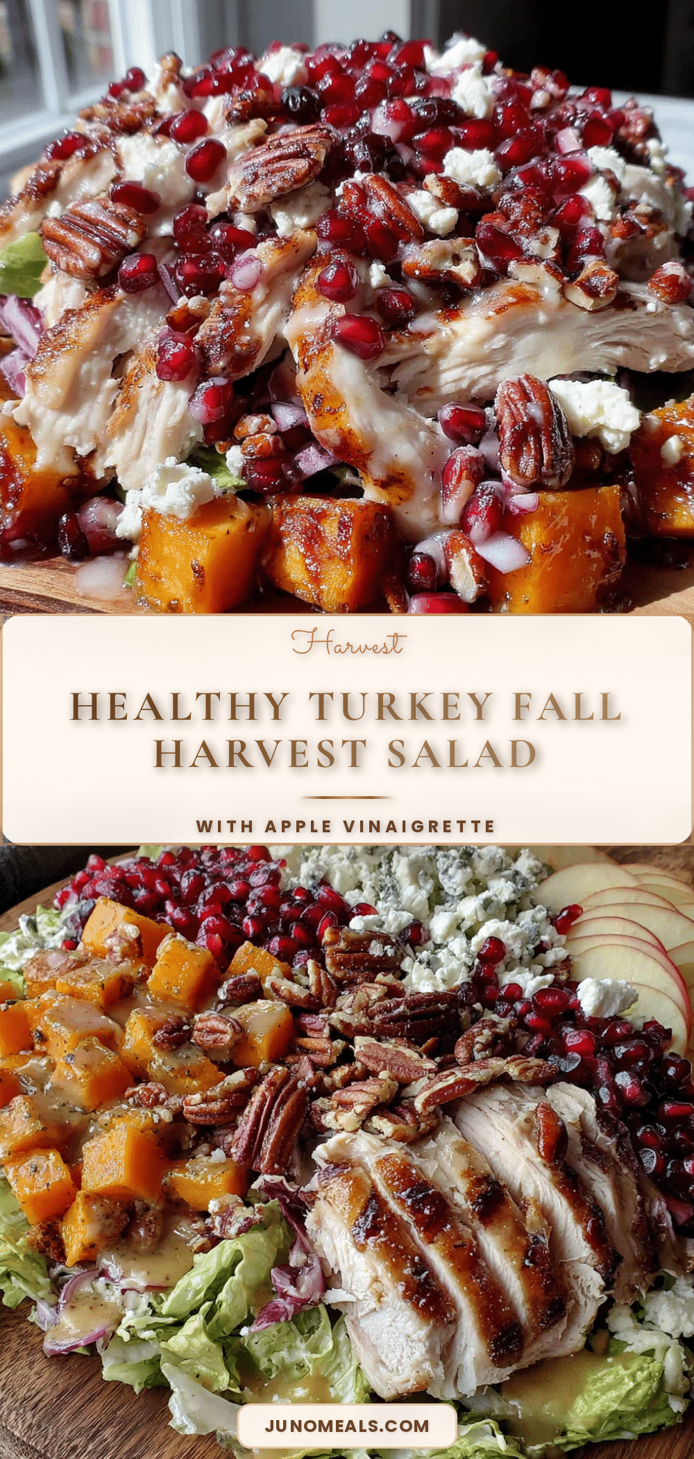 Healthy Fall Harvest Salad with Apple Vinaigrette recipe