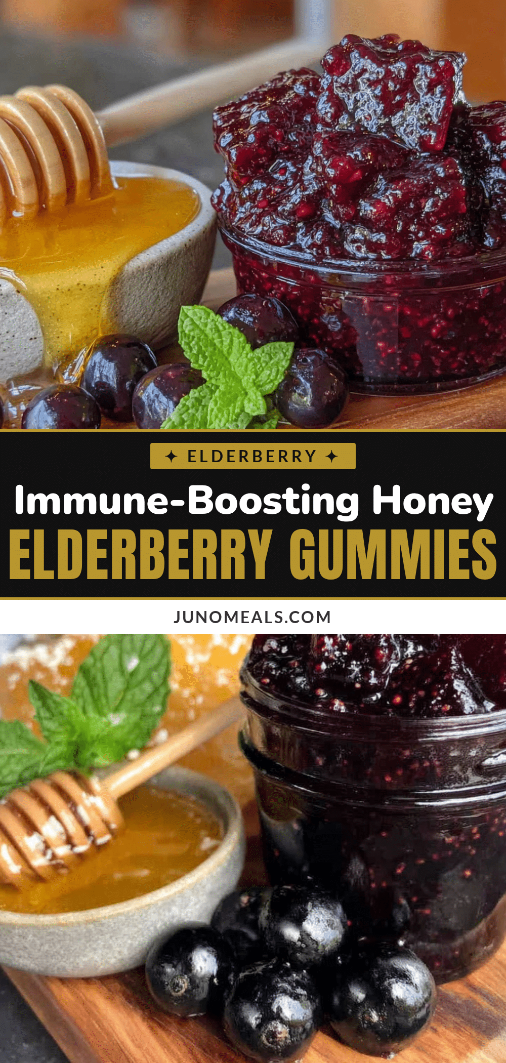 homemade elderberry gummies with honey recipe