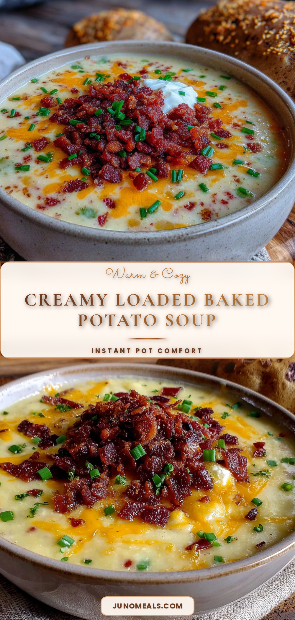 instant pot loaded baked potato soup recipe