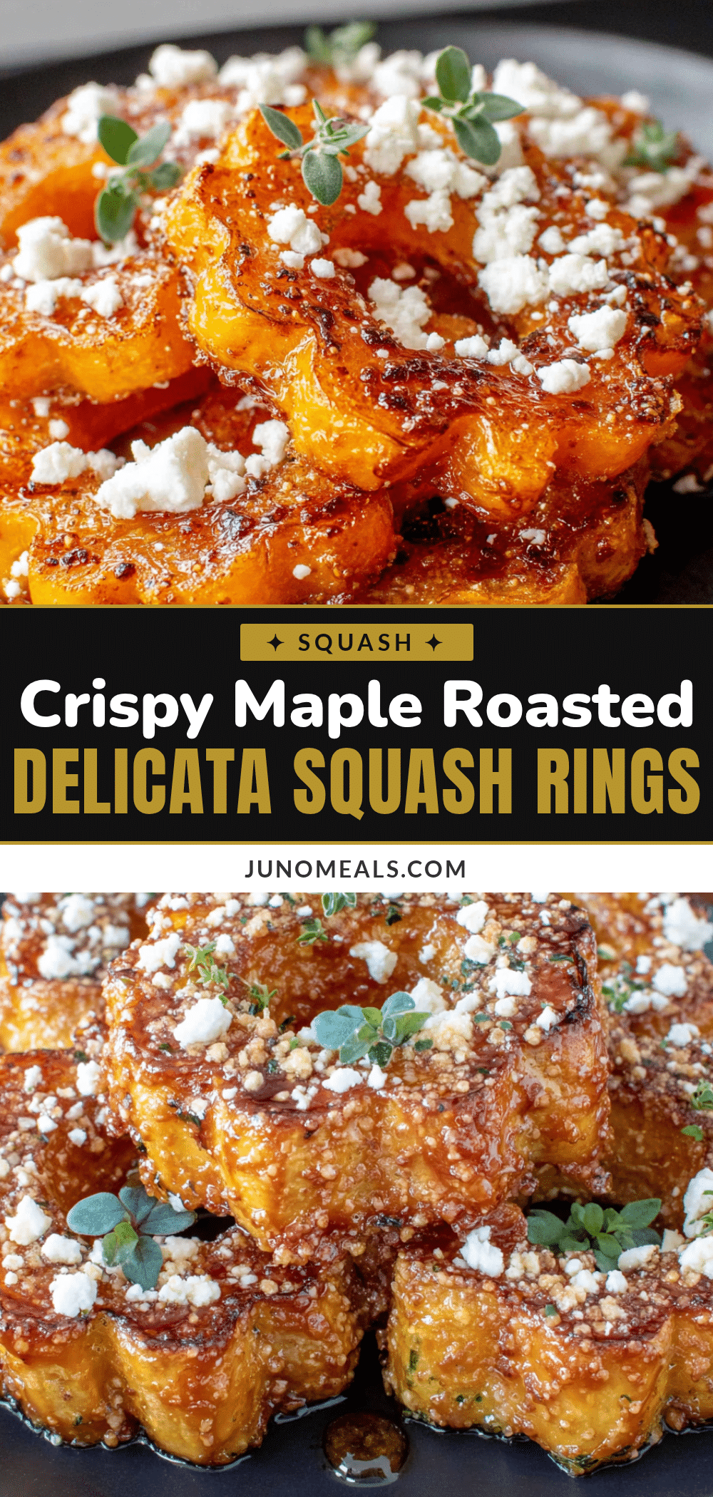 maple roasted delicata squash rings recipe