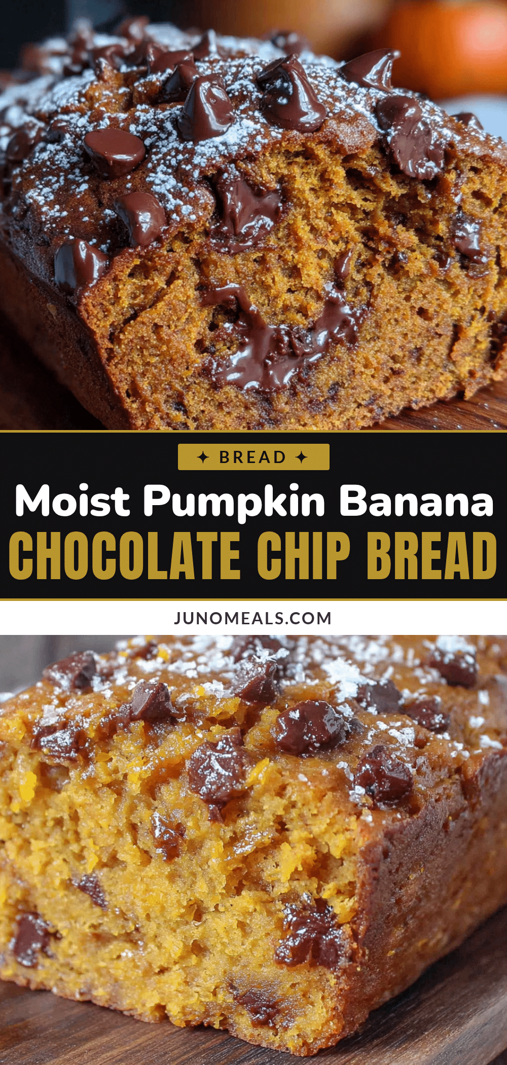 pumpkin banana bread with chocolate chips recipe