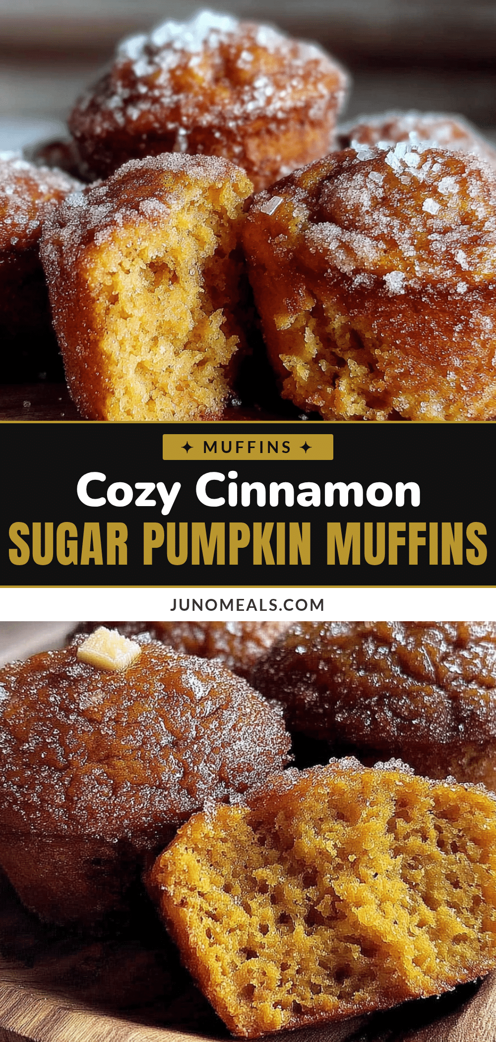 pumpkin donut muffins recipe