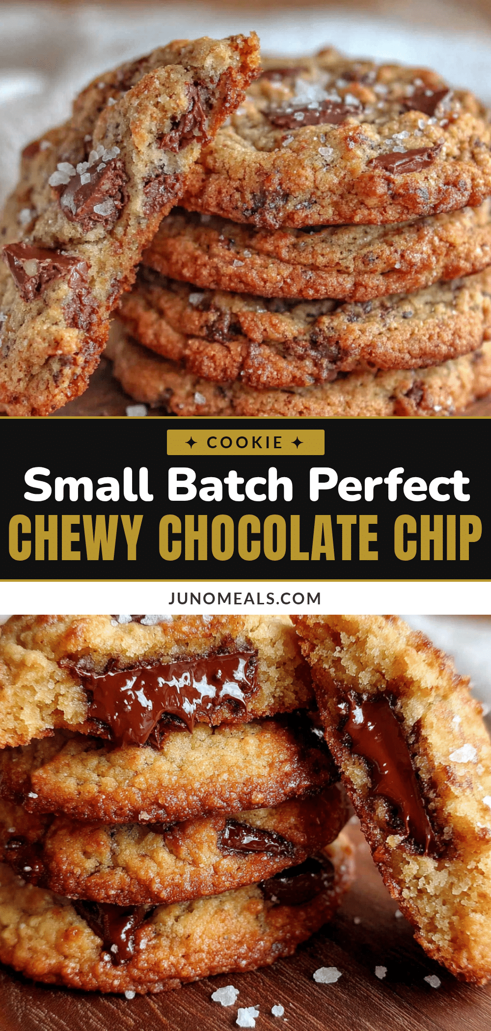 small batch chewy chocolate chip cookies recipe