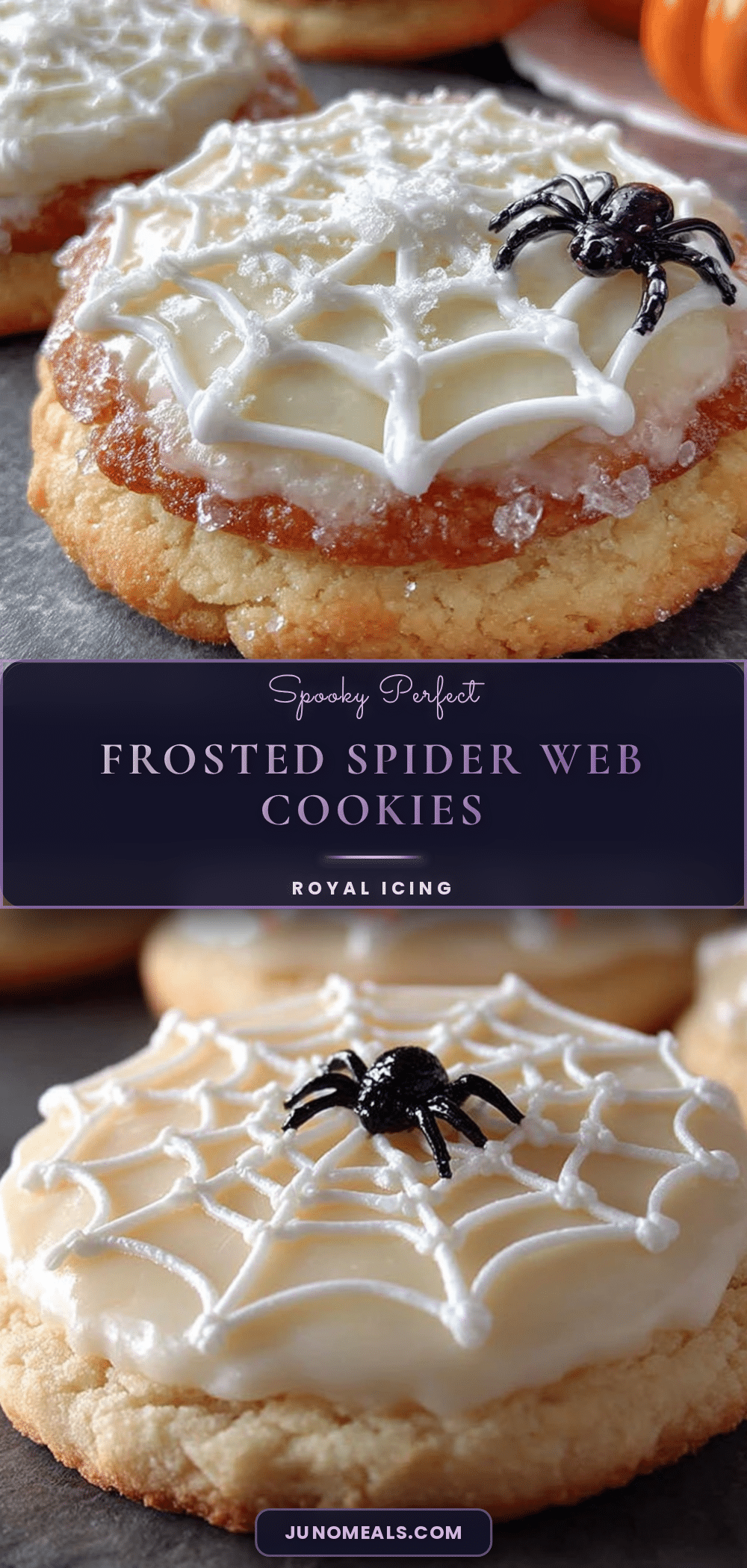 spider web sugar cookies recipe