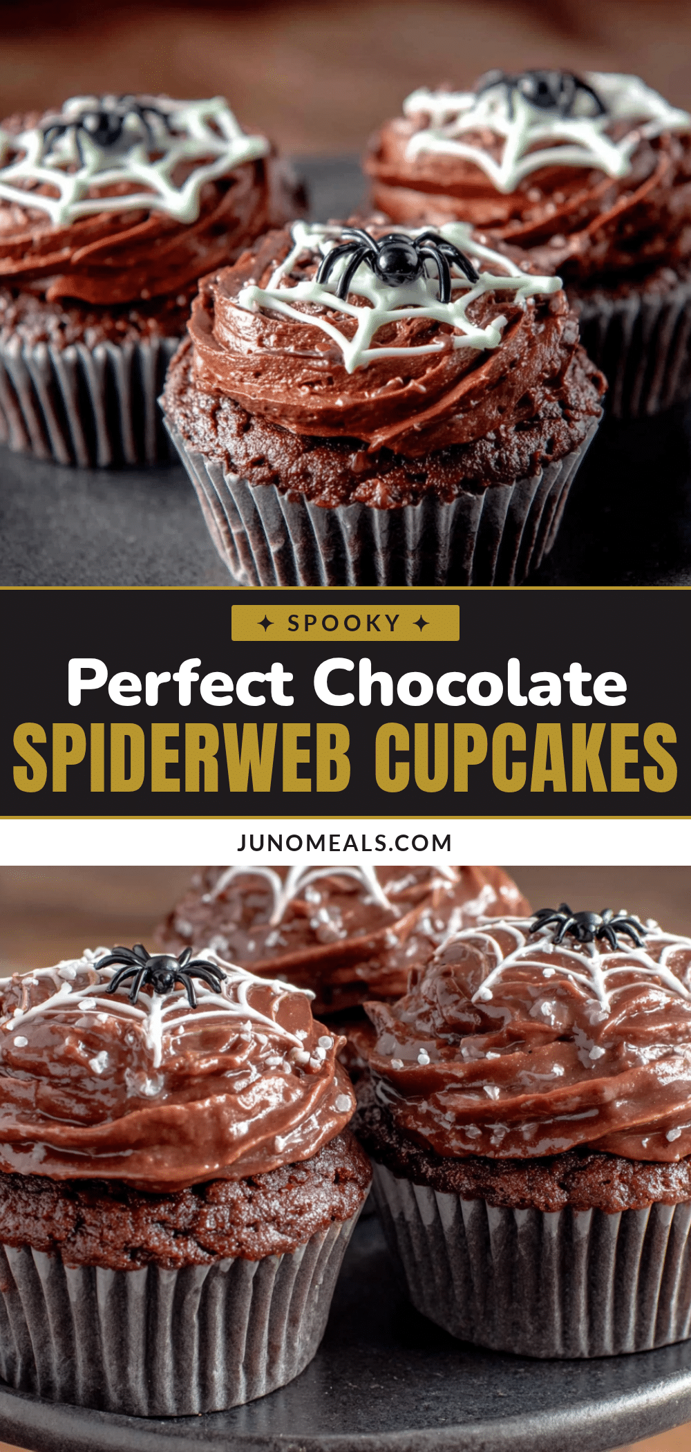 chocolate spiderweb cupcakes recipe