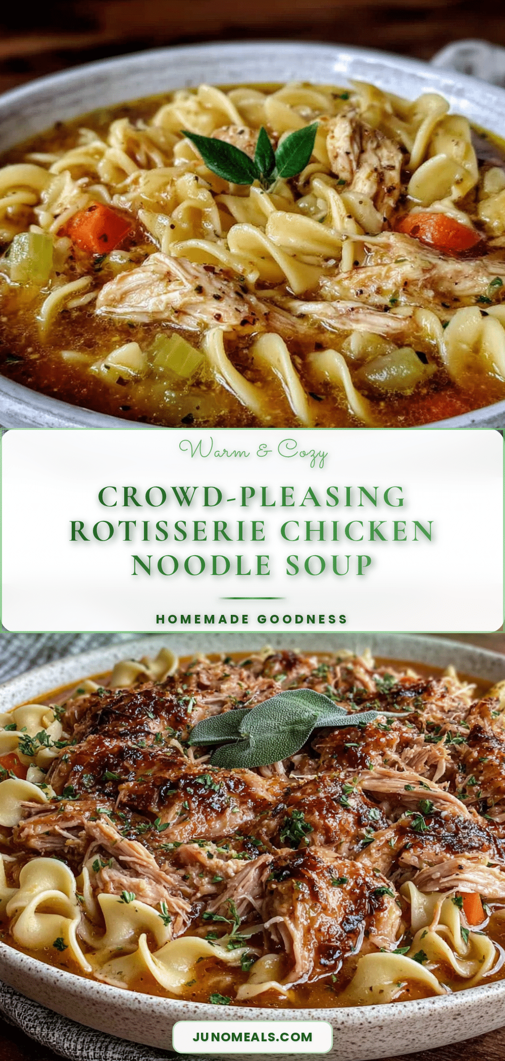 easy rotisserie chicken noodle soup recipe