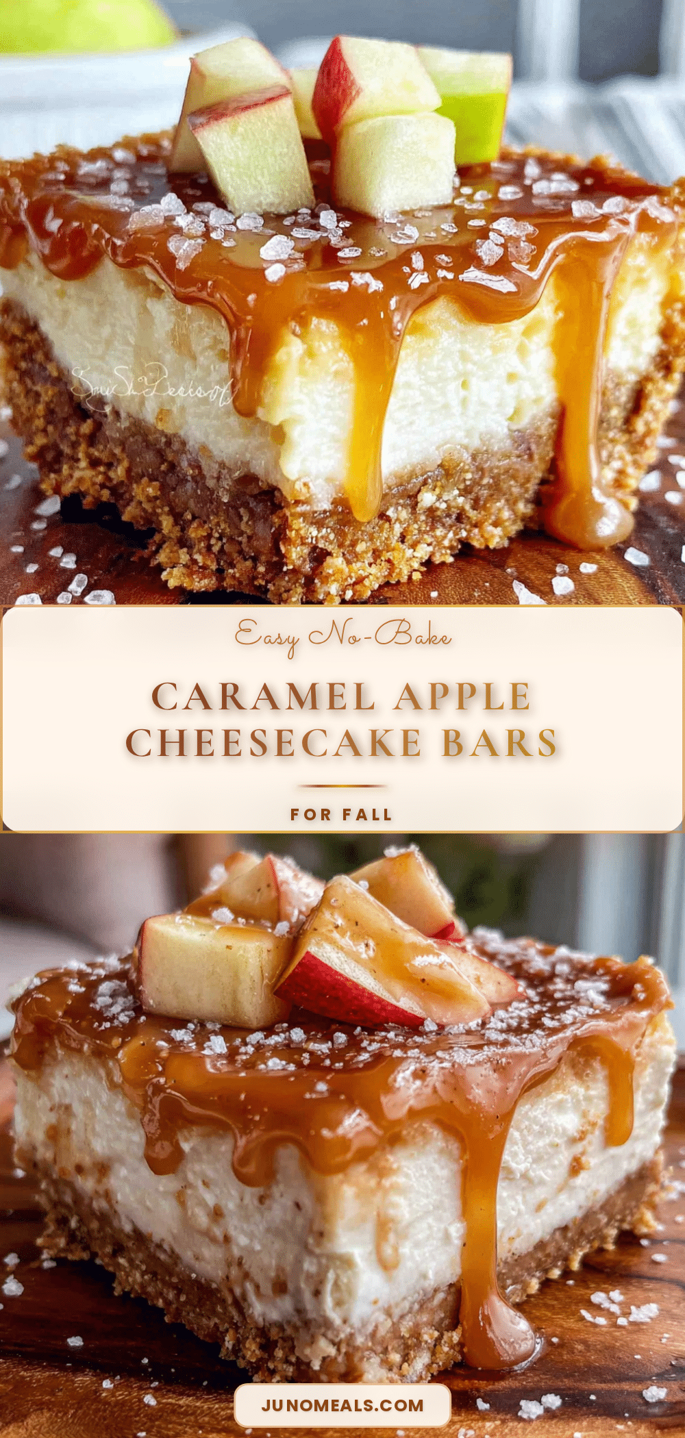 no-bake caramel apple cheesecake bars recipe