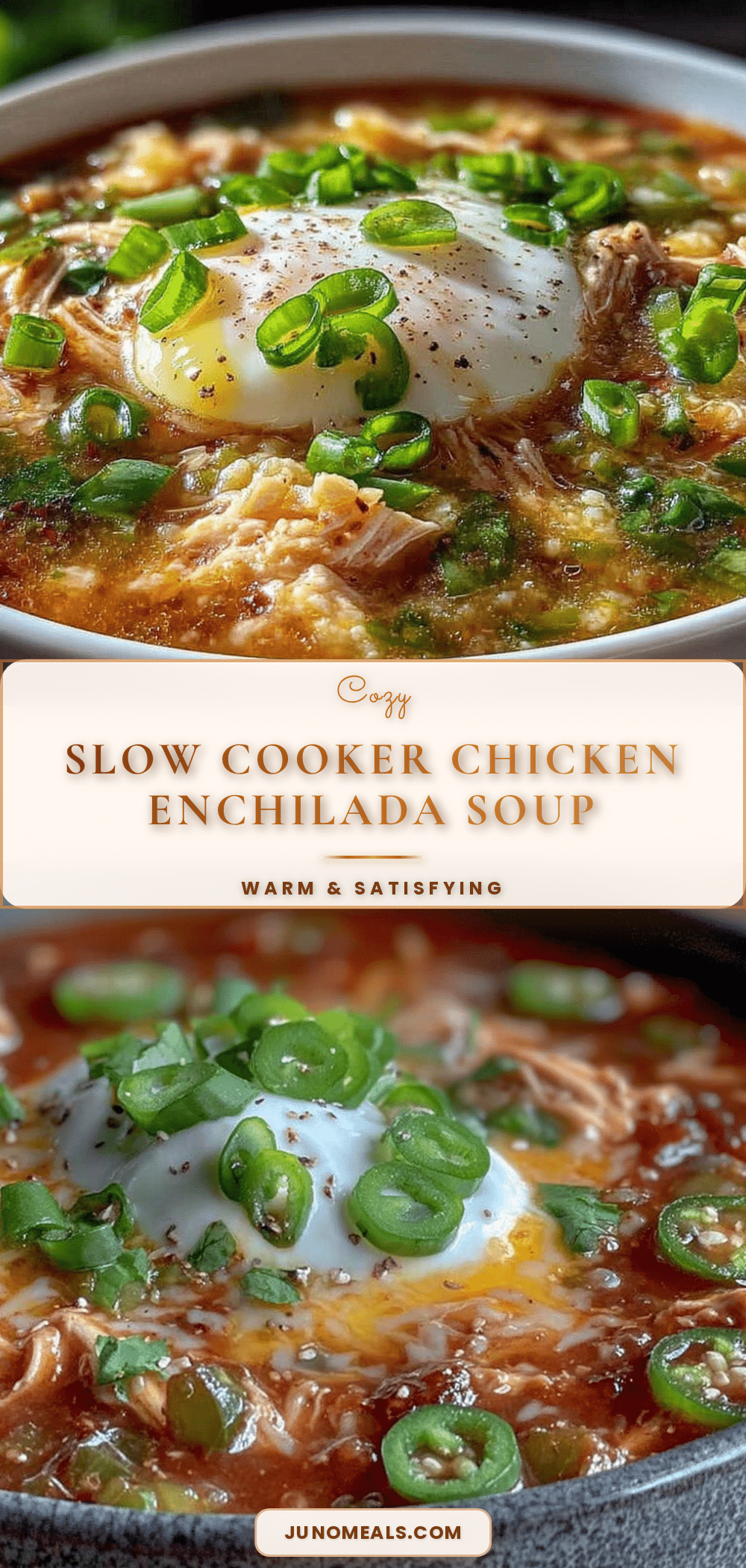 slow cooker chicken enchilada soup recipe