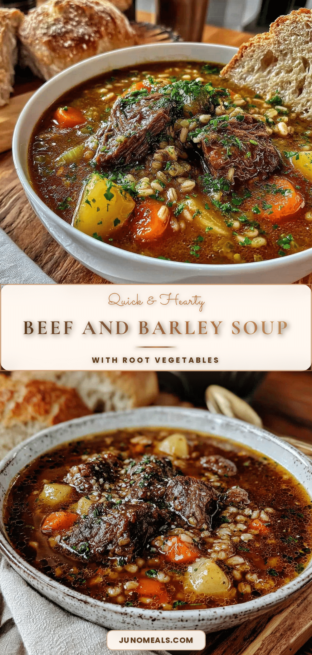 beef barley soup recipe
