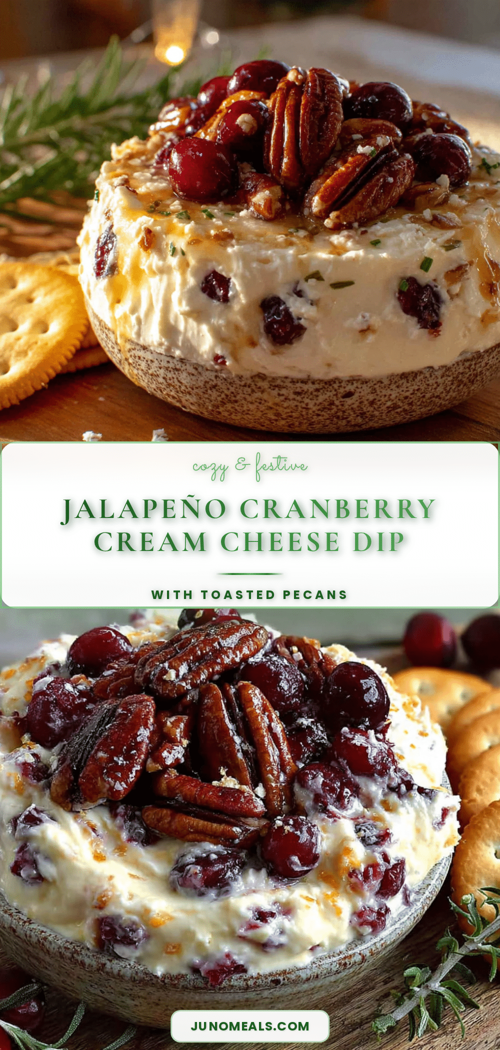 cozy jalapeño cranberry cream cheese dip recipe
